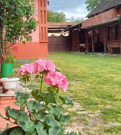 Kucerak Kod Bobe Gasthuis