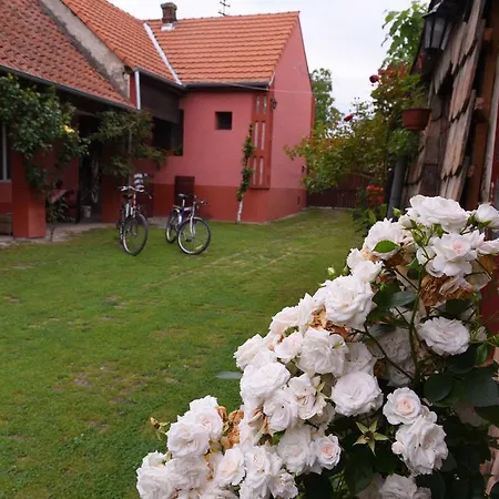 Gasthuis Kucerak Kod Bobe 3*